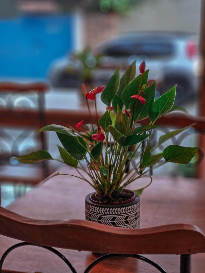 Bliss Hoteis Centro Búzios Extérieur photo Anthurium